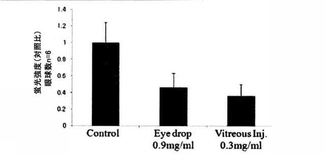 6099209-黄斑変性の予防または治療用の医薬組成物 図000020
