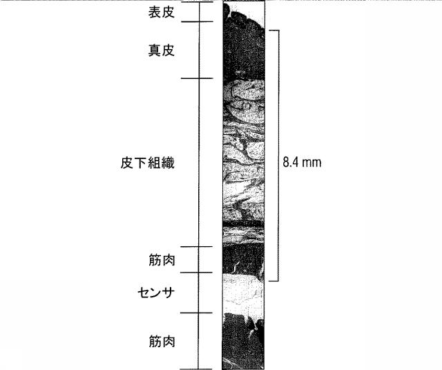 6244004-酸素センサ 図000020