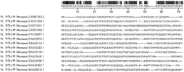 6290626-糖化プロセスにおける粘度を低下させる方法 図000020