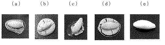 6355653-種子用コーティング材料及びコーティング種子 図000020