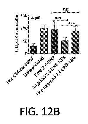 6356614-薬剤のミトコンドリア輸送のためのナノ粒子 図000020