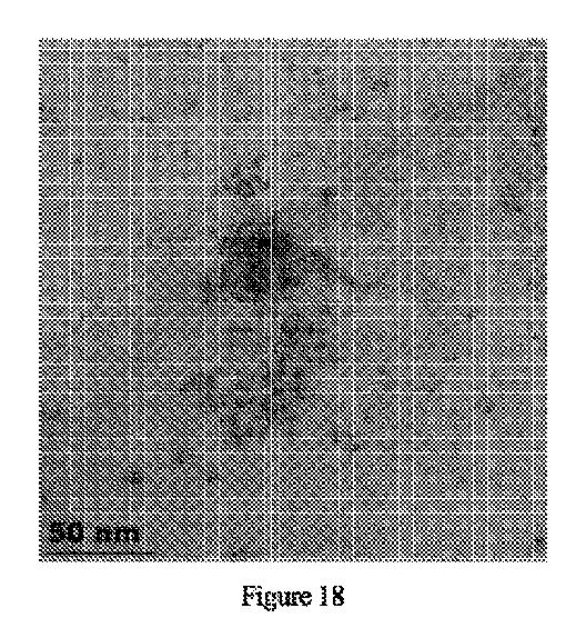 6371764-セレン化１３族ナノ粒子 図000020