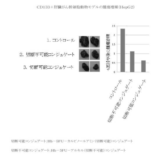 6392855-がん治療および診断イメージングのための修飾ヘモグロビンベース系治療剤を含む医薬組成物 図000020