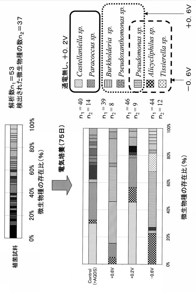 6396269-窒素代謝微生物の活性化方法 図000020