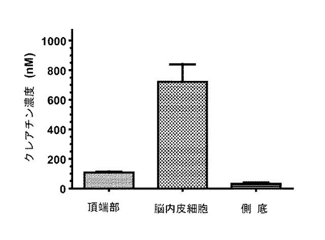 6403671-クレアチン脂肪エステルを調製する方法、そのように調製されたクレアチン脂肪エステルおよびその使用 図000020