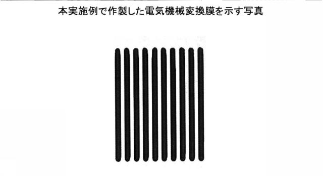 6442860-前駆体ゾルゲル溶液、電気機械変換素子、液滴吐出ヘッド、及びインクジェット記録装置 図000020