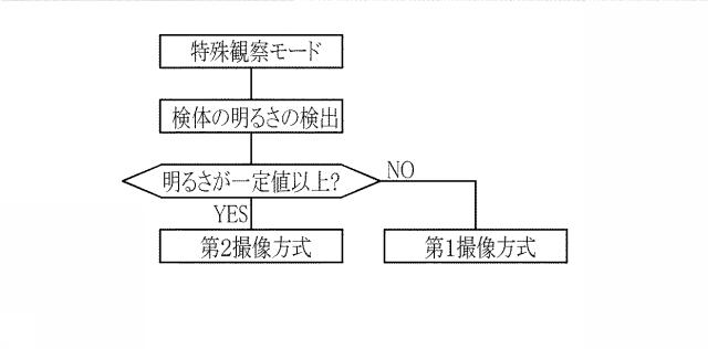 6444450-内視鏡システム、内視鏡システムのプロセッサ装置、及び内視鏡システムの作動方法 図000020