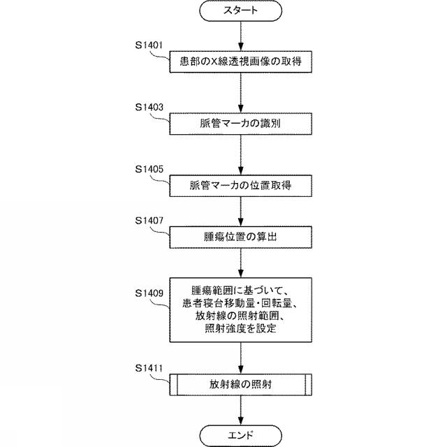 6544698-放射線治療用の脈管マーカ、脈管マーカの留置支援装置、放射線照射制御装置および放射線照射制御プログラム 図000020