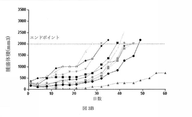 6550400-レナリドミド及びポリペプチド構築物の組合せ、及びその使用 図000020