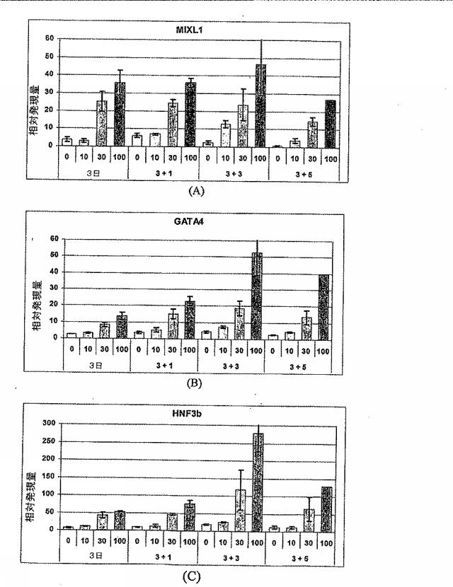 6595041-ＰＤＸ１発現背側及び腹側前腸内胚葉 図000020