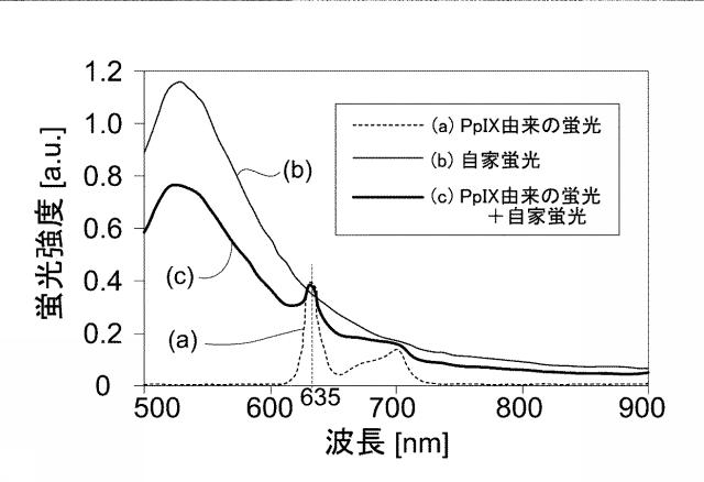 6762703-腫瘍部位の判別のための方法、腫瘍部位の判別装置 図000020