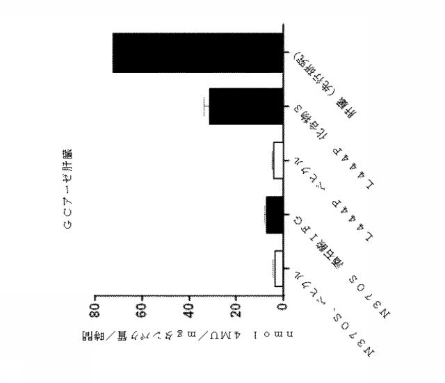 6857648-リソソーム障害及び中枢神経系の変性障害の治療及び予防のための（３Ｒ，４Ｒ，５Ｓ）−５−（ジフルオロメチル）ピペリジン−３，４−ジオールを含むレジメン 図000020