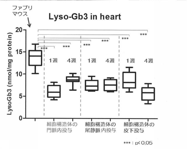 6903295-ライソゾーム病処置剤 図000020