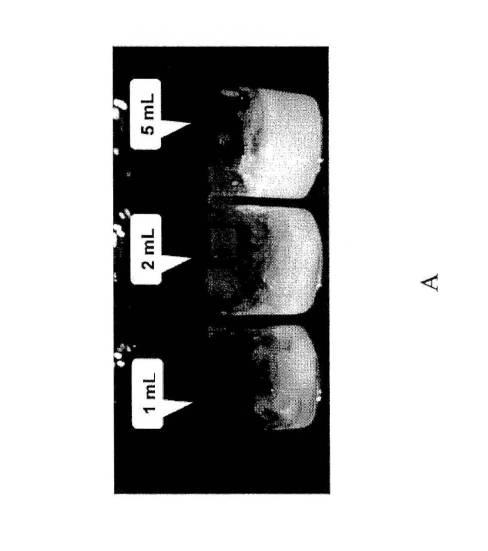 6929407-乱用抵抗性医薬組成物 図000020