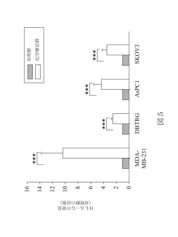 6929928-ＨＬＡ−Ｇ特異的キメラ抗原受容体、核酸、ＨＬＡ−Ｇ特異的キメラ抗原受容体発現プラスミド、ＨＬＡ−Ｇ特異的キメラ抗原受容体発現細胞及び癌治療用の医薬組成物 図000020