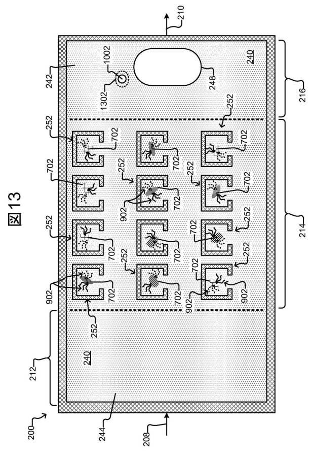 6954972-マイクロ流体デバイスにおける個々の生体細胞から特定の核酸材料を捕捉する方法 図000020