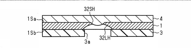 6984529-蒸着マスク用基材、蒸着マスク用基材の製造方法、蒸着マスクの製造方法および表示装置の製造方法 図000020