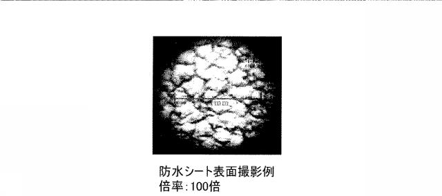 5649424-防水シート診断方法および診断装置 図000021