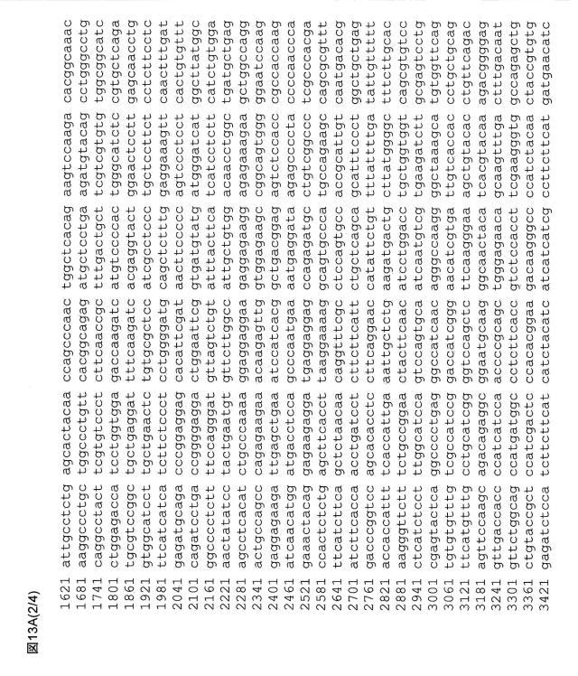 5802197-心血管疾患における予後診断マーカーとしてのＢＩＮ１ 図000021