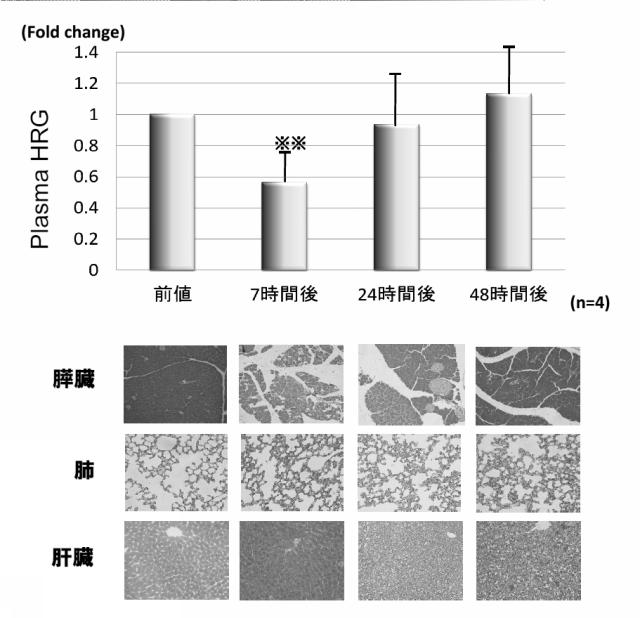 5807937-好中球活性化に起因する疾患の治療薬、治療方法及び検査方法 図000021