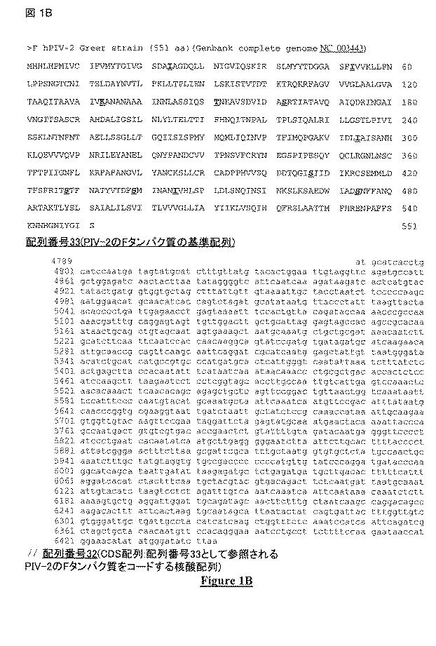 5813509-ＰＩＶ−５およびＰＩＶ−２のＦタンパク質の突然変異タンパク質 図000021