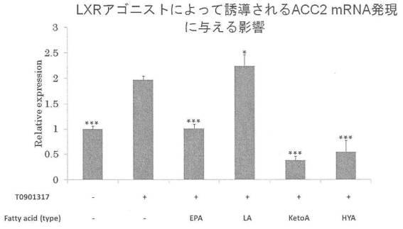 6340523-希少脂肪酸を含む代謝改善剤 図000021