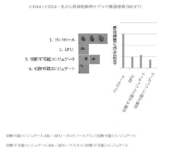 6392855-がん治療および診断イメージングのための修飾ヘモグロビンベース系治療剤を含む医薬組成物 図000021