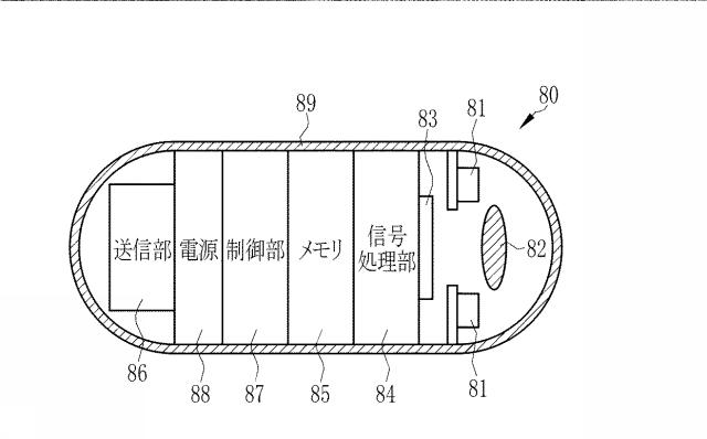 6444450-内視鏡システム、内視鏡システムのプロセッサ装置、及び内視鏡システムの作動方法 図000021