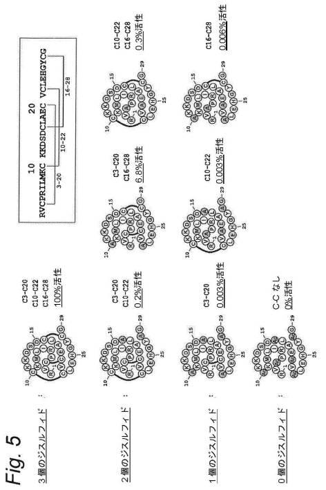 6491880-異物表面との接触による血液凝固系の活性化の熱安定性阻害剤 図000021