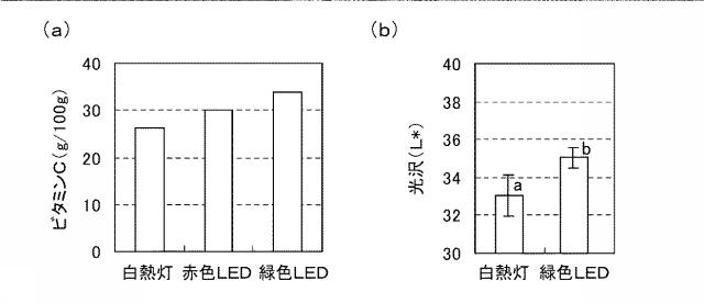 6541231-イチゴの休眠抑制方法 図000021