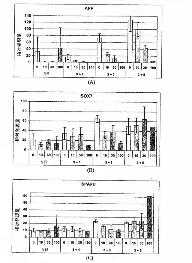 6595041-ＰＤＸ１発現背側及び腹側前腸内胚葉 図000021