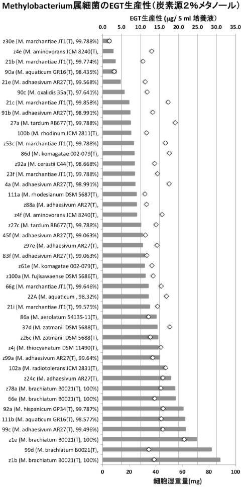 6616328-エルゴチオネインの産生方法 図000021