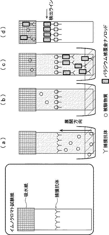 6716632-パラジウム被覆異方性金ナノ粒子を含む被験物質を検出するための組成物及びその用途 図000021