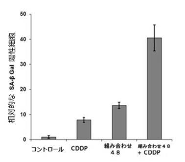 6727381-ＨＰＶ感染に係わる癌の治療用組成物 図000021