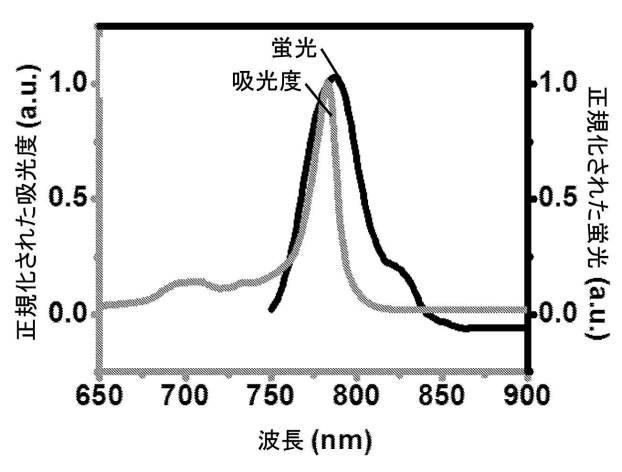 6769992-ポリマーナノ粒子における感光性化合物を含む組成物およびその組成物を使用する方法 図000021