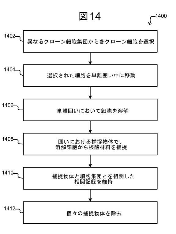 6954972-マイクロ流体デバイスにおける個々の生体細胞から特定の核酸材料を捕捉する方法 図000021