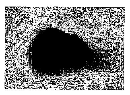 5759370-組織工学および骨の再生のための、構造化された多孔率を有するモネタイトの三次元マトリクス、および、当該三次元マトリクスの調製方法 図000022