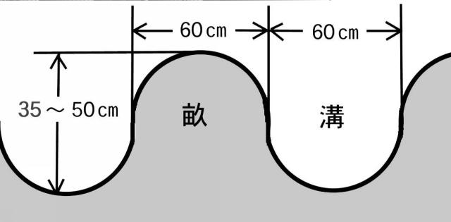 5770897-大気中の常在菌を活用し無肥料および無農薬で野菜を栽培する畑の造成方法 図000022