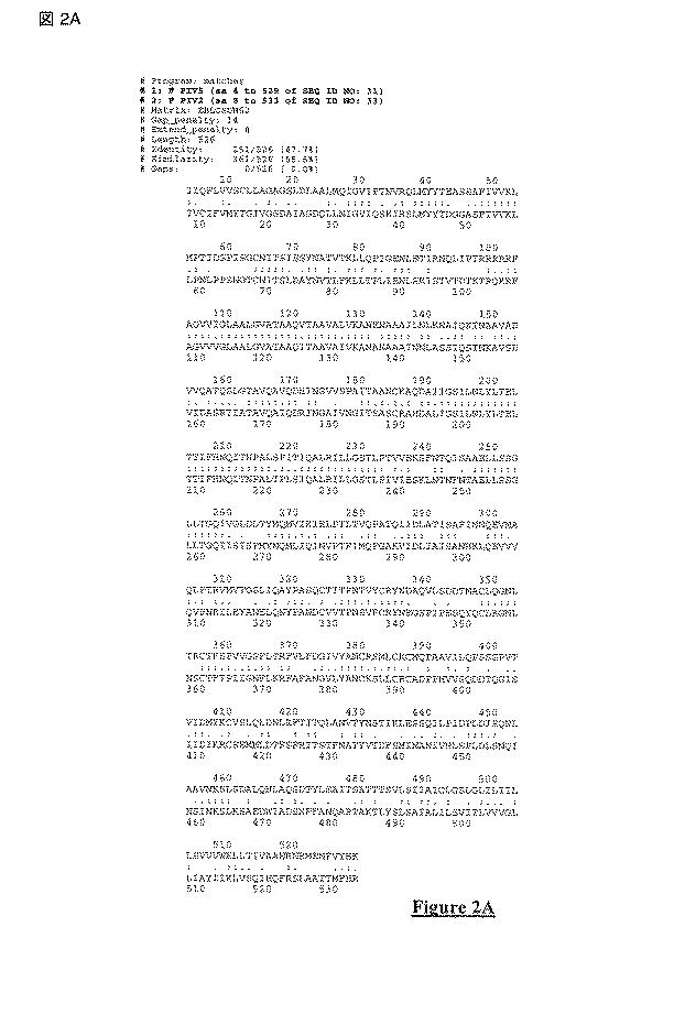 5813509-ＰＩＶ−５およびＰＩＶ−２のＦタンパク質の突然変異タンパク質 図000022