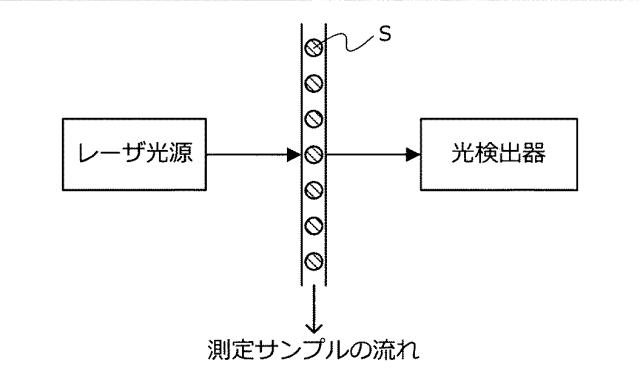 5834584-情報処理装置、情報処理方法、プログラム及び蛍光スペクトルの強度補正方法 図000022
