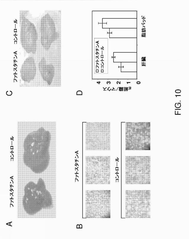 5878937-代謝障害を処置するための組成物および方法 図000022