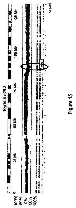 5976550-蛍光ｉｎｓｉｔｕハイブリダイゼーションによる癌抑制遺伝子の欠失を検出するための方法、プローブセットおよびキット 図000022