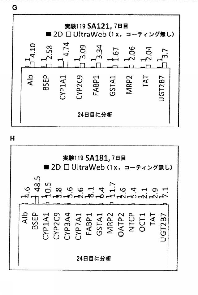 6025715-多能性幹細胞の肝細胞への分化を向上する三次元スキャホールド 図000022