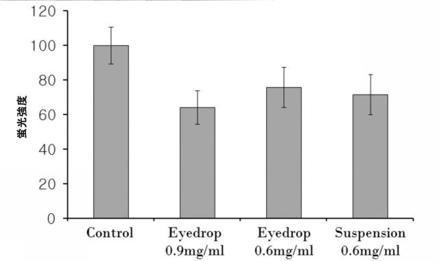 6099209-黄斑変性の予防または治療用の医薬組成物 図000022