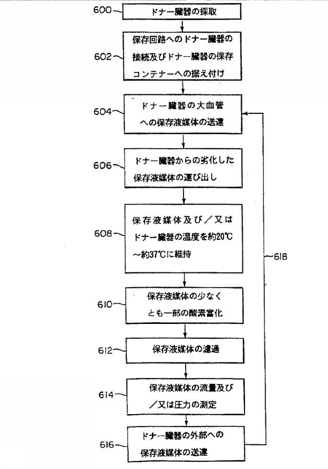 6134771-臓器を維持するための組成物、方法及び装置 図000022