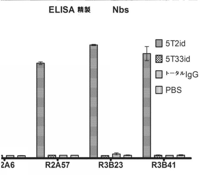 6289733-癌の予防及び／又は治療に用いるための放射標識抗体断片 図000022