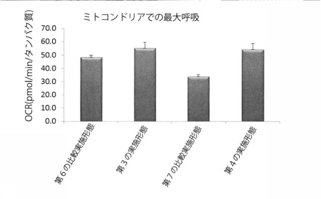 6329234-ミトコンドリアを改善する方法および幹細胞の細胞分裂を促進する方法 図000022