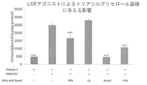 6340523-希少脂肪酸を含む代謝改善剤 図000022