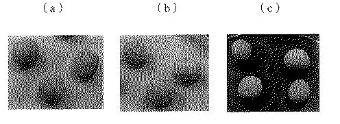 6355653-種子用コーティング材料及びコーティング種子 図000022