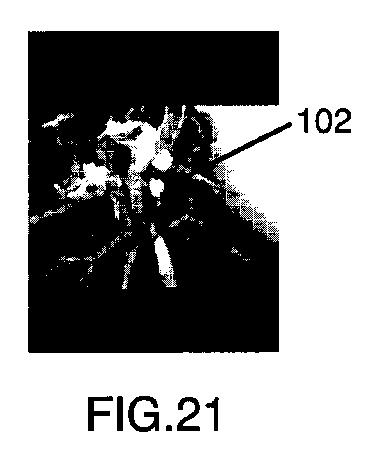 6396310-第一レンダリング投影と第二レンダリング投影との間のトランジションをユーザーに表示するための方法および装置 図000022